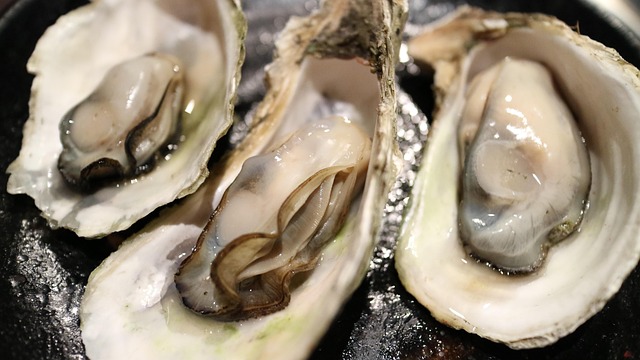 COQUILLES SAINT-JACQUES, se kammuslinger